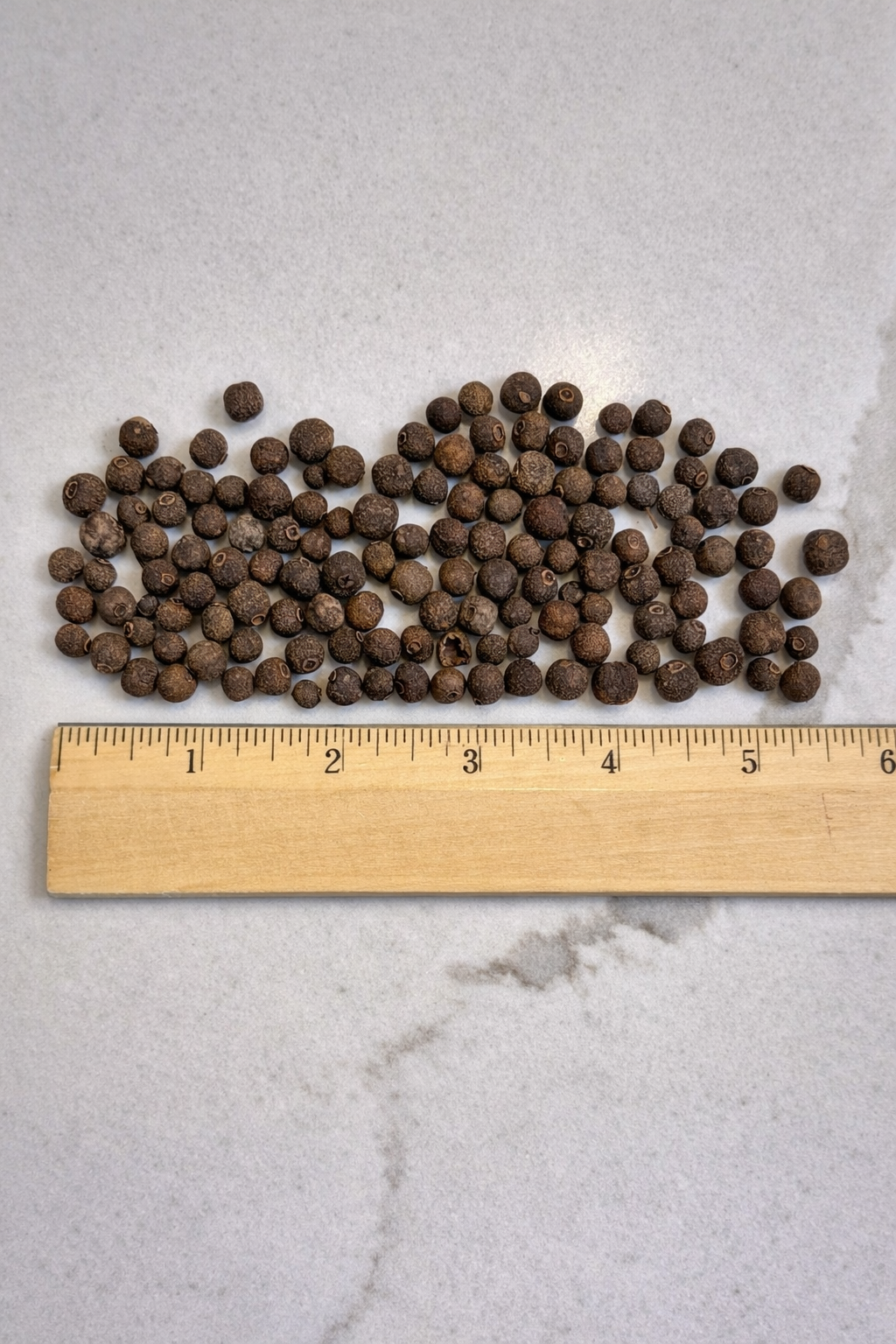 Whole Allspice Berries | Premium Aromatic Pimenta Dioica Spice | Warm Spice for Baking, Mulled Drinks, Pickling, Cooking & Crafts