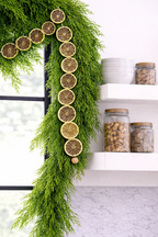 Dried Lime Garland DIY Kit | Premium Dried Lime Slices | Natural Handmade Citrus for Holiday, Weddings, Parties & Rustic Home Decor