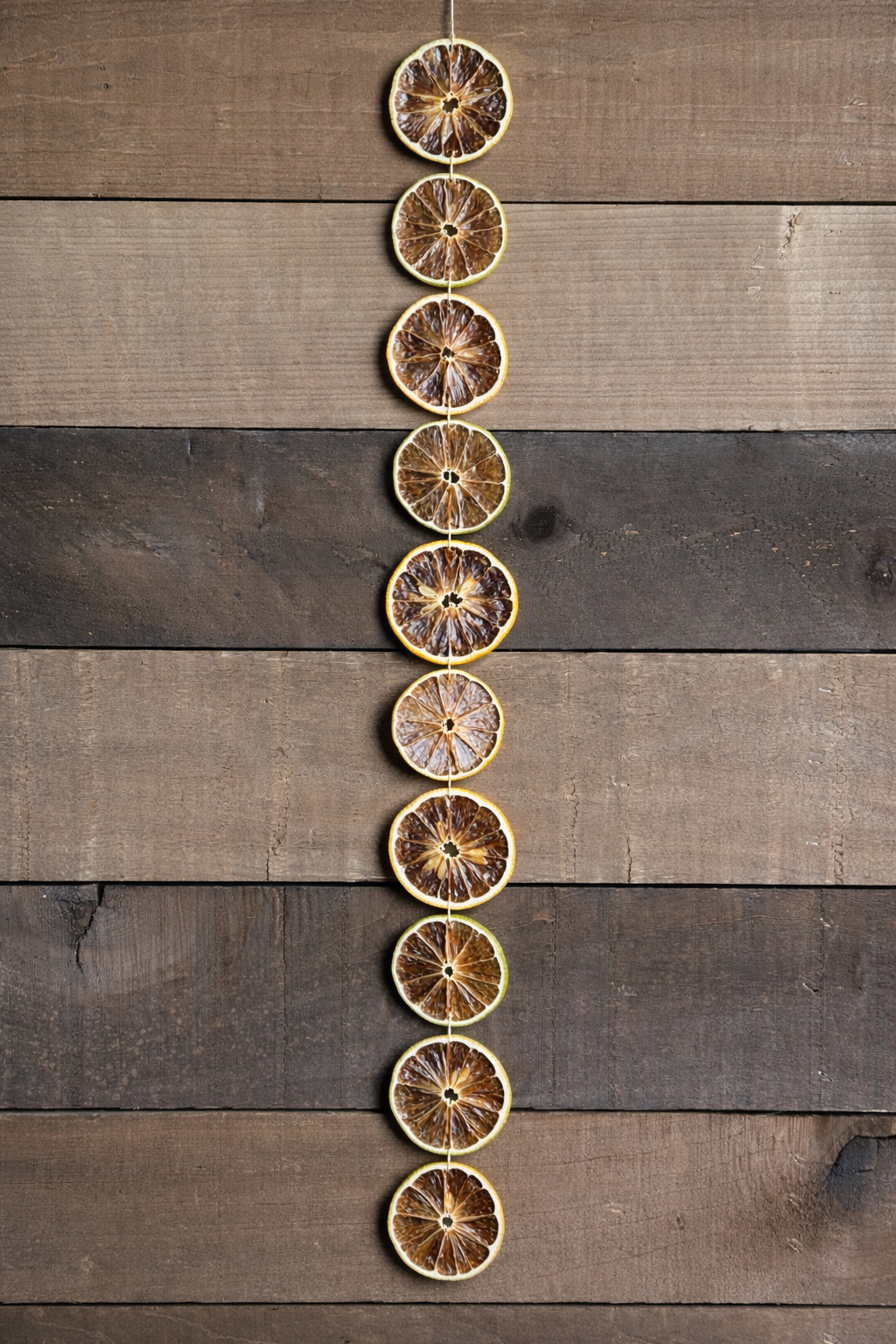 Dried Lemon & Lime Garland Pre-Made | Premium Dried Citrus Slices | Natural Handmade Citrus for Holiday, Weddings, Parties & Rustic Home Decor