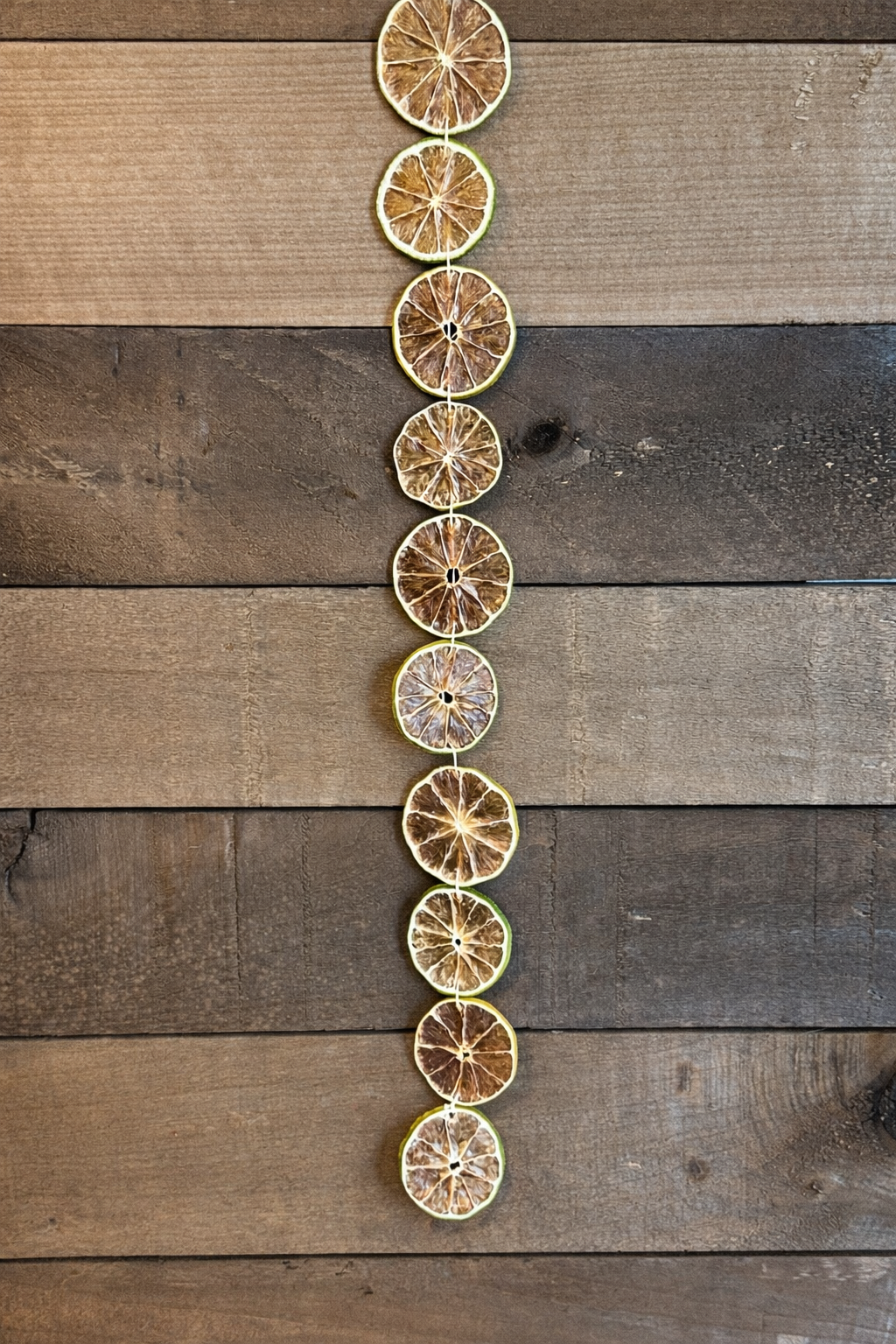 Dried Lime Garland DIY Kit | Premium Dried Lime Slices | Natural Handmade Citrus for Holiday, Weddings, Parties & Rustic Home Decor
