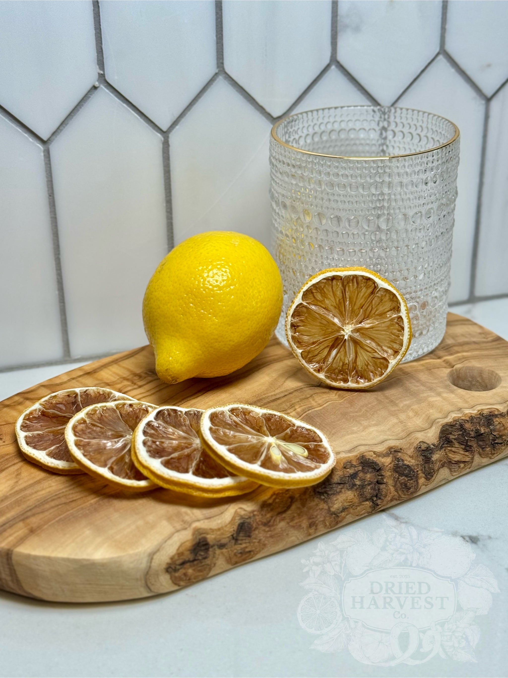 Dehydrated Lemon Slices | 6 Slice Sample Pack | Natural Dried Lemon Garnish for Cocktails, Mocktails, Baking, Citrus Decor, Charcuterie & Crafts