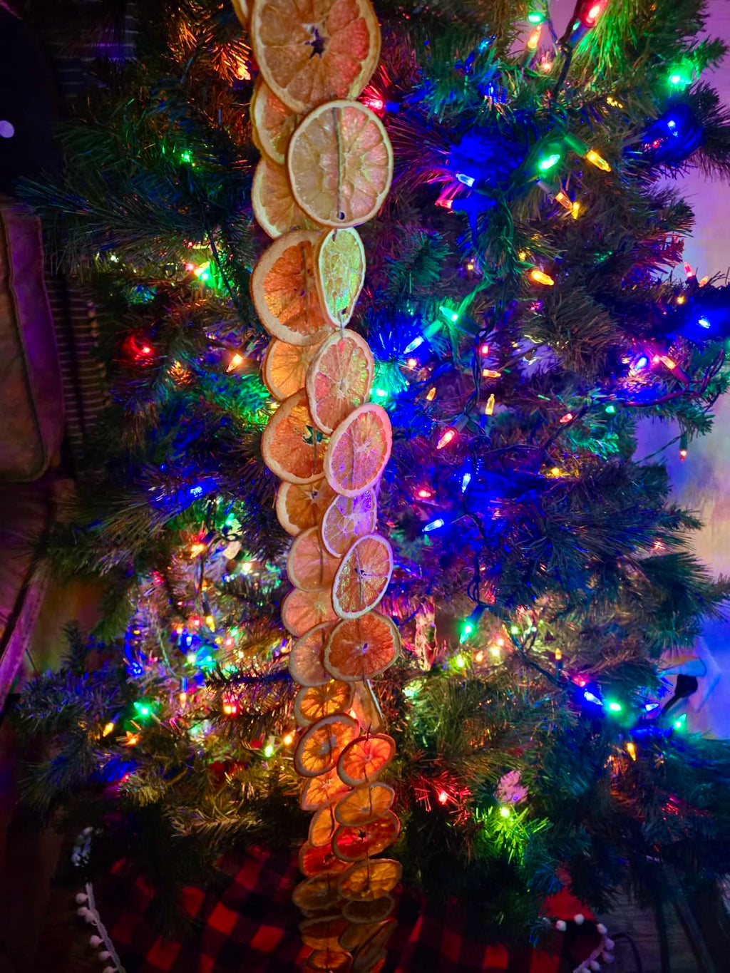 Rustic Dehydrated All-Natural Navel Orange Slices | Garnish for Cocktails, Baked Goods & Crafts Co.