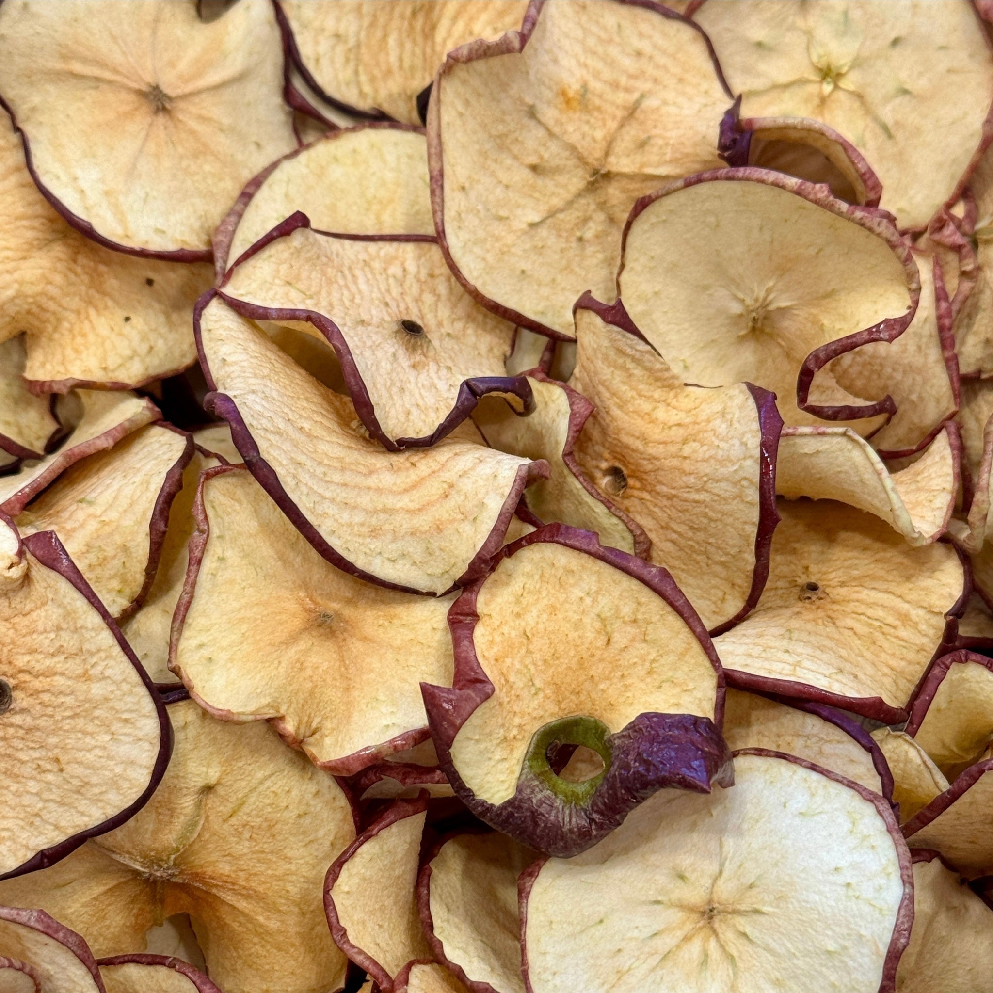 Rustic Dehydrated All-Natural Apple Slices | Garnish for Cocktails, Baked Goods & Crafts