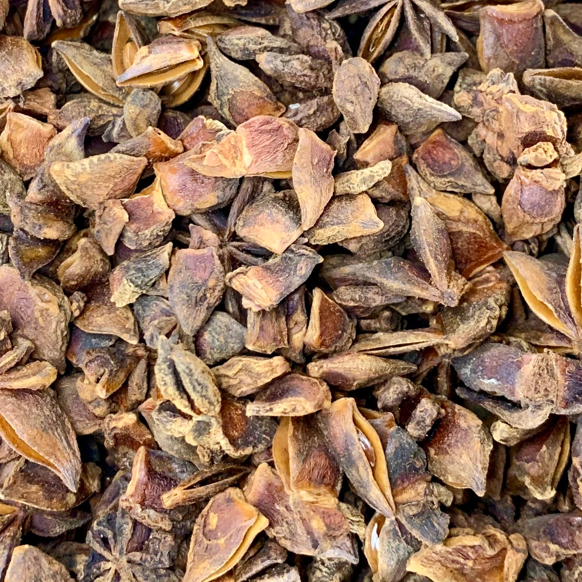 Crushed Star Anise | Illicium verum Chakra Phool Spice | Aromatic Spice for Pho, Chai Tea, Mulled Wine, Baking & Cocktails