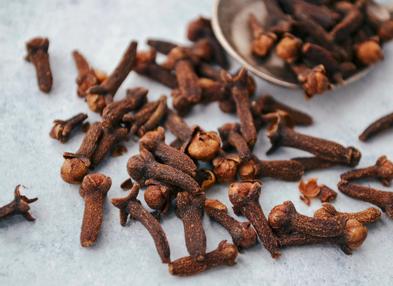 Whole Cloves | Premium Aromatic Clove Spice | Whole Clove Buds for Baking, Mulled Drinks, Cooking, Teas & Crafts